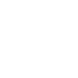 Not Boring