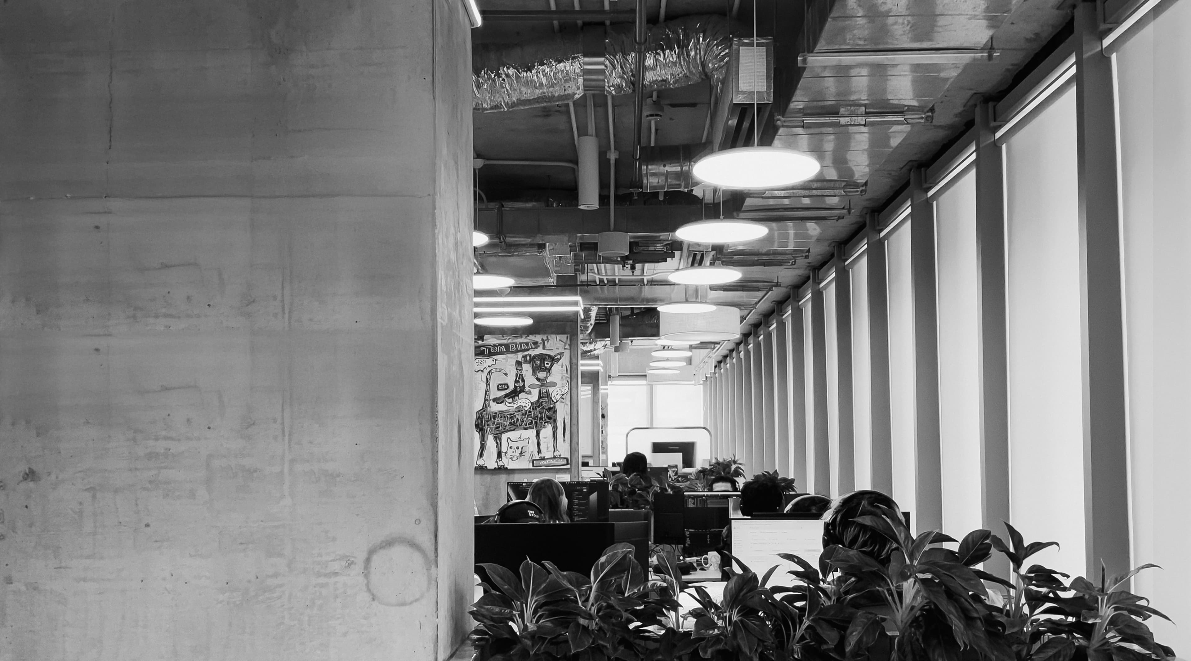 StoryCo Office